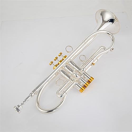 Blechblasinstrumente Trompete Professionelle Trompete Bb Tune Messing Vergoldete Oberfläche Professionelle Musikinstrumente (Color : Silver)