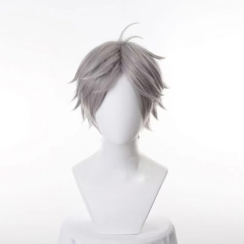 WCCNKK Anime Cosplay Perücke, Haikyuu!! Sugawara Koushi Perücke, Silbergraues, Flauschiges Kurzes Haar, Mit Kostenloser Perückenkappe,Für Party Alltag Halloween Perücke Cosplay, Anime-Geschenk