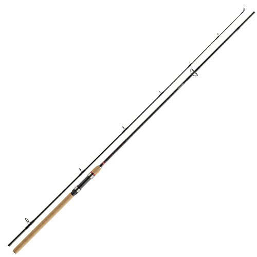 Daiwa Ninja X Spin 3,00m 30-60g Spinnrute