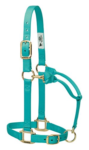 Weaver Leather Original verstellbares Nylon-Halfter, Original verstellbares Kinn- und Hals-Halfter aus Nylon, mintgrün, klein, 35-7034-MT, Mint, 1" Small Horse