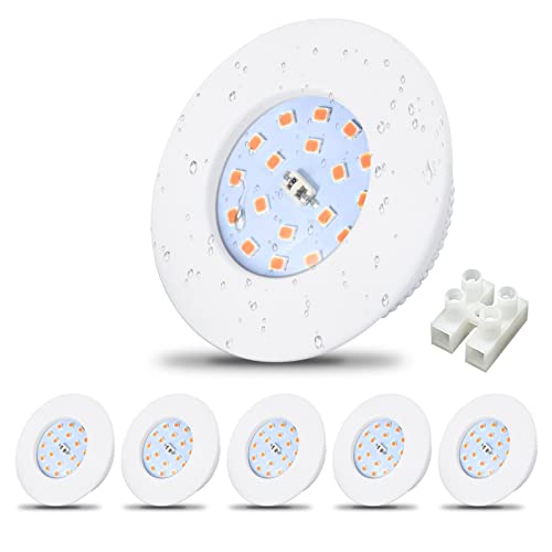 Allesgute LED Einbaustrahler Flach 230V 5W WarmWeiß LED Spot Set 500lm Mini Rund Slim Weiß IP44 Bad Einbauleuchte 30mm Einbautiefe Spots für Badezimmer, Küche, Wohnzimmer, 6er Set