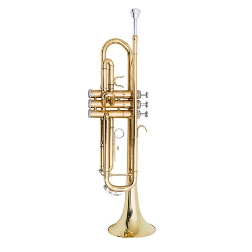 Standard Trompete Instrumentaler flacher dreistimmiger Trompetentest für Anfänger professionelle Band