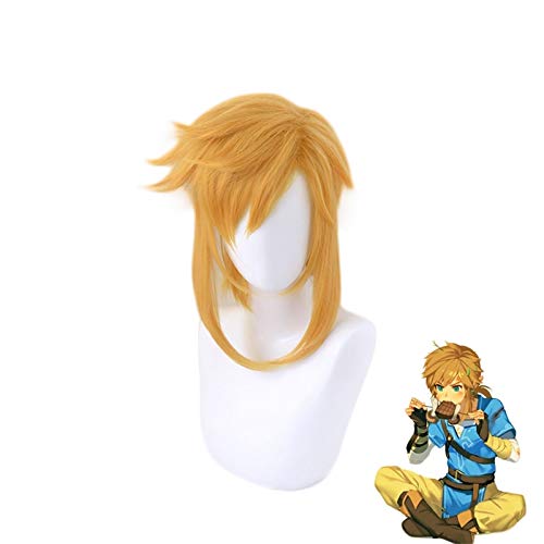 LINLINCD Cosplay wig Link Kurze Pferdeschwanz Perücke Cosplay Kostüm Die Legende von Zelda Atem der wilden Hitze Beständige synthetische Haare Karneval Party Perücken