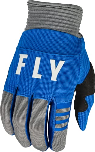 Fly Racing 2023 Erwachsene F-16 Handschuhe (Blau/Grau, X-Large)