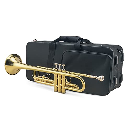 B Flach Lackiertes Gold-Messing-Instrument