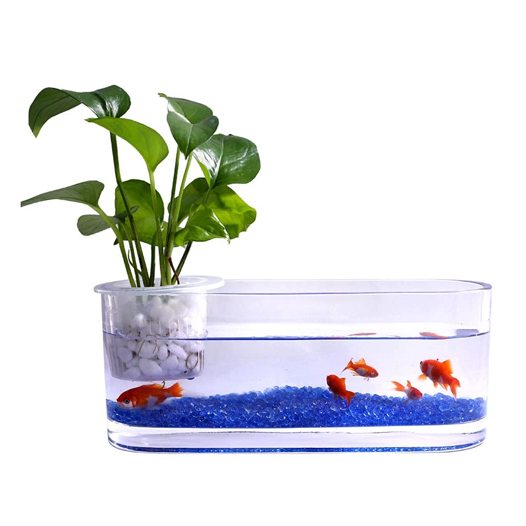 Aquarium/Aquarien Kreative Glas transparent Glas armtank hydroponic vase büro Desktop Dekoration Kleiner Ask Tank Wasser Pflanze Tank Desktop-Aquarium