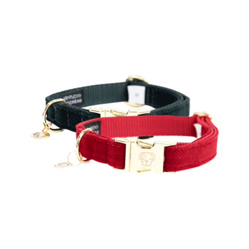 Kentucky Halsband Dog Collar 'Corduroy' - Red, Größe:XS