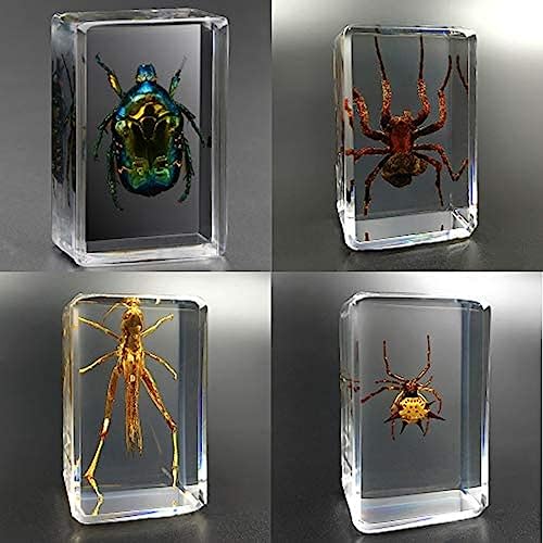 4 Stück Insektenharz, echtes riesiges Insekt, Briefbeschwerer, Taxidermie-Exemplar, echtes Insektenexemplar, transparentes Harz, bewegliche kleine Ornamente, Insekten, Meeresinsekten, Kinder