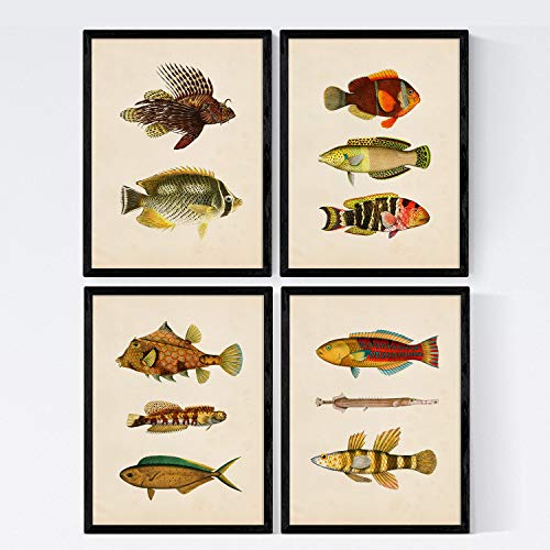 Set 4 Blatt Fisch Jahrgang bunten Effekt. Norden. Zusammensetzung von 11 verschiedenen Fischen in A3-Format, Hintergrund Altpapier Jahrgang Posterpapier 250 gr hohe Qualität. Marco