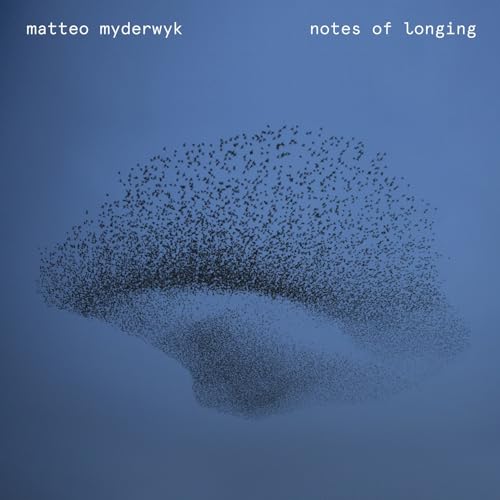 Notes of Longing [Vinyl LP]