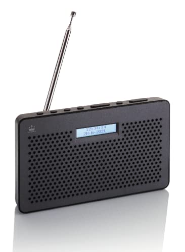 NEWTRO Tragbares DAB Radio (DAB+, UKW, Kopfhöreranschluss, zweizeiligem Display mit Hintergrundbeleuchtung, Senderspeicher, Teleskopantenne) schwarz/dunkelgrau