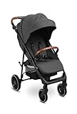 CARETERO ELMA Kinderwagen Buggy - Buggy mit Liegefunktion - Klappbar, mit Regenschutz, Beinabdeckung und 5-Punkt- Sicherheitsgurt - 8,5 kg Leicht - Dunkelgrau