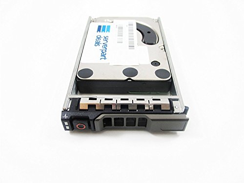 HP 652564-B21 SAS-Festplatte (300 GB, 10.000 U/min, 6,35 cm (2,5 Zoll), G8 Hot Swap-Tray (Zertifiziert generalüberholt)