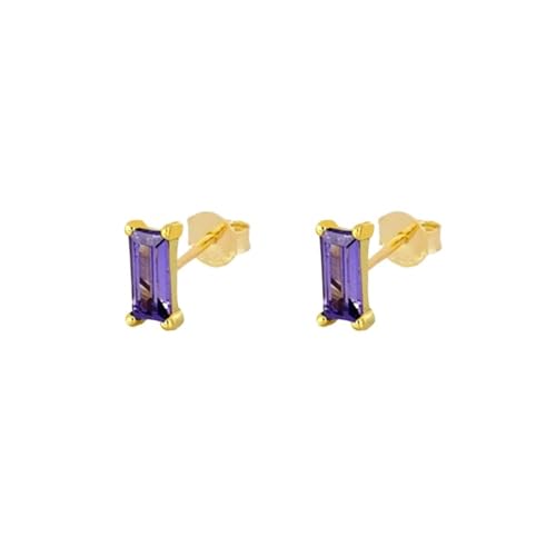 Damen-Ohrstecker, goldfarben, silberfarben, S925-Sterlingsilber, rechteckige Diamant-Ohrringe(Golden-purple diamonds)