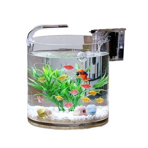 Aquarium Transparentes Glasfischaquarium Wohnzimmer Büro Desktop Zylindrisches Fischaquarium Aquascape Glasaquarium Aquarium-Kit(25x25cm)