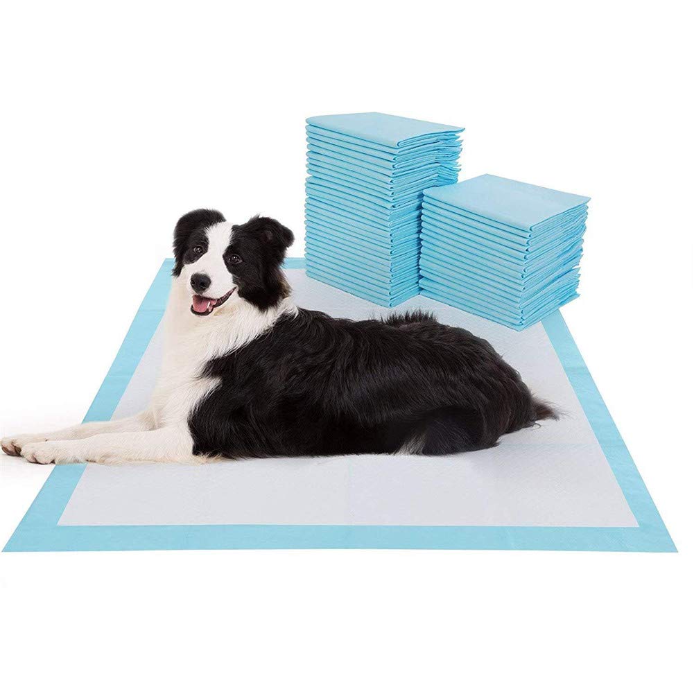 Rysmliuhan Shop Hundewindeln Für Hündinnen Inkontinenz Inkontinenzunterlage Hund Pee Pad Windel Hunde-Inkontinenz-Pads Leckfreie Welpenauflagen Hundewindeln m-50pcs