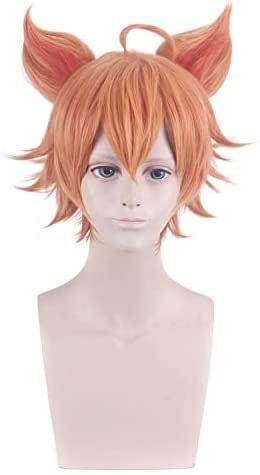 LINLINCD-Wig Anime Cosplay Perücke for Nachtleben CluI Party Dress Up Perücke Cosplay Perücke King Cos Zhang Liang bunt bemalte Schriftrolle Baili Xuan Ce Thermal Swing mit Ohren(Baili Xuan Ce)