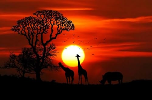 HfmQuisutron Puzzle 1000 Stück Afrikanische Tiere Sonnenuntergang Scenery Poster Für Familie Stressabbau Spiel Zq120Wk