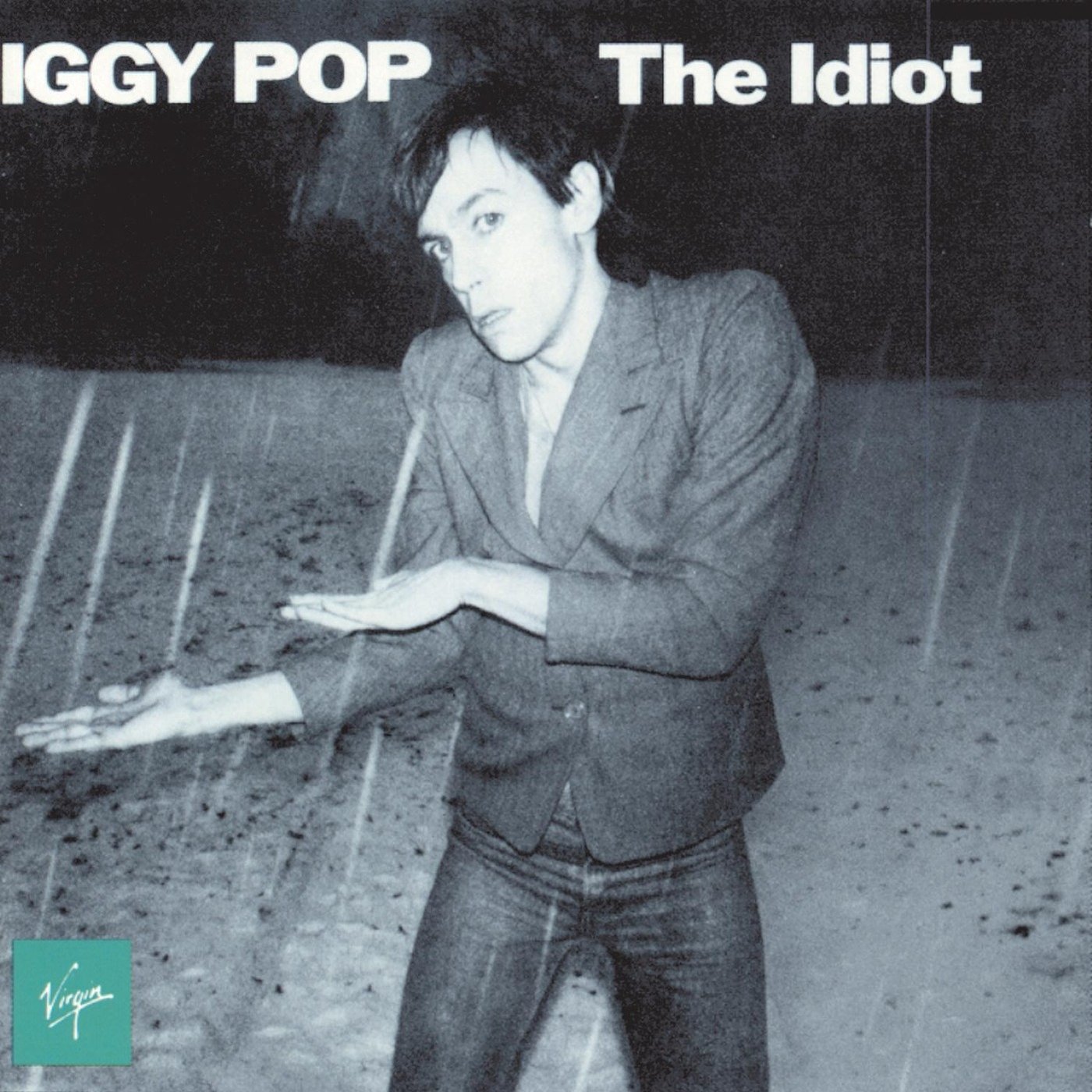 The Idiot [Vinyl LP]