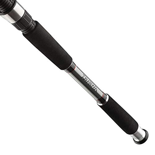 Daiwa Seahunter X Variotip 2,70m 30-110g