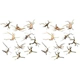 Uikdjgu Mini Treibholz für Aquarium Natur Zweige Aquarium Dekorationen Reptilien Stamm Treibholz Sortiert (20 Pack)