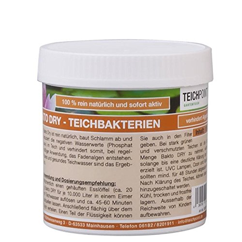 Teichpoint 100 g Bakto Dry Teich - Billionen von Mikro-Organismen