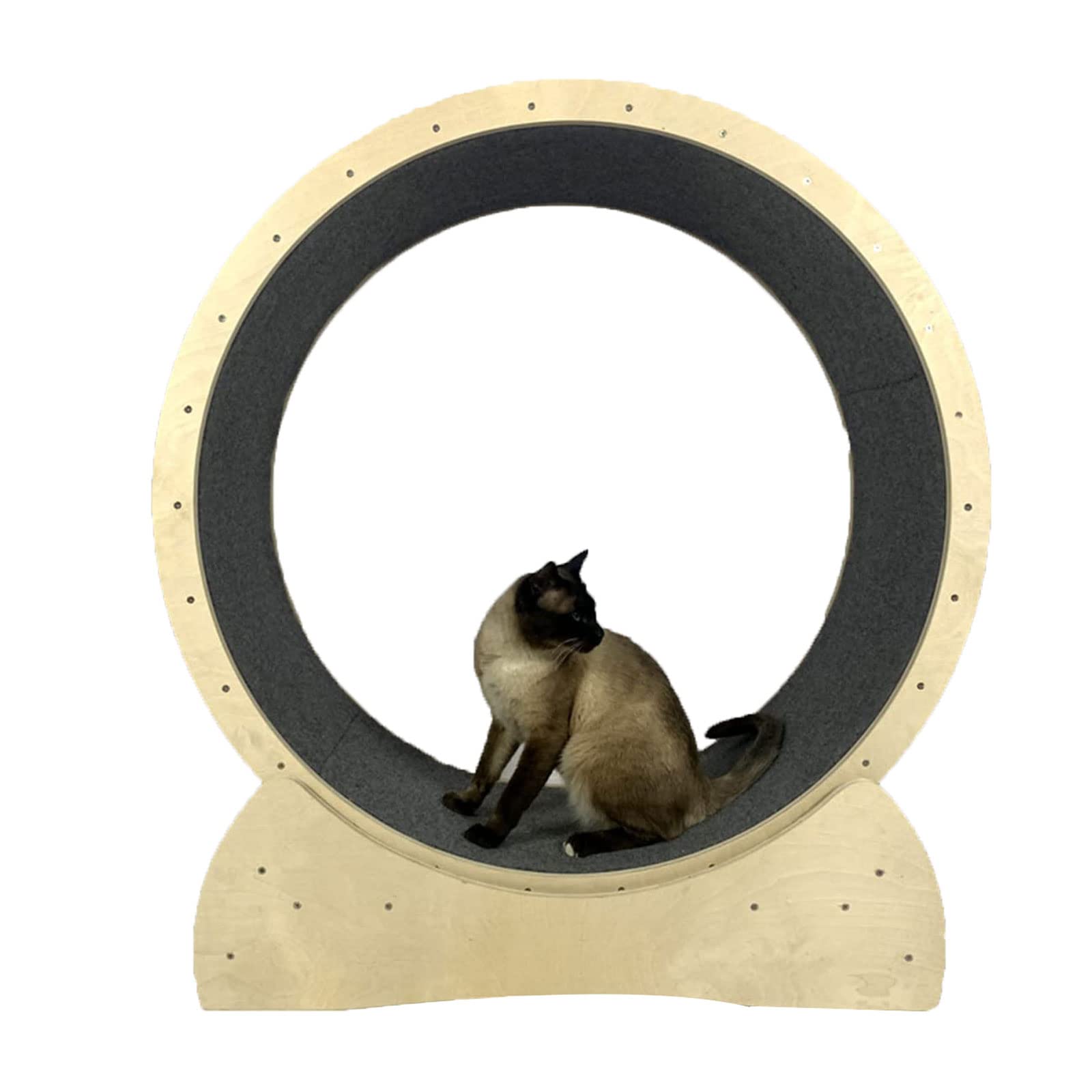 Katzenlaufrad Katzenlaufrad Katzenlaufrad Katzenlaufband mit Riesenrad Katzenübungsgewichtsverlustgerät für Katzen im Innenbereich