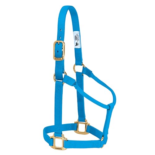 Weaver Leather Original Nicht verstellbares Halfter (Hurricane Blue, Avarage Horse/Yearling Draft)