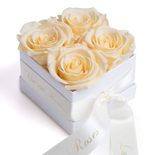 ROSEMARIE SCHULZ Heidelberg Konservierte Champagner Rosen in Box - Infinity Blumen lang haltbar in weißer Schachtel mit Satinband in Beige (Champagner)