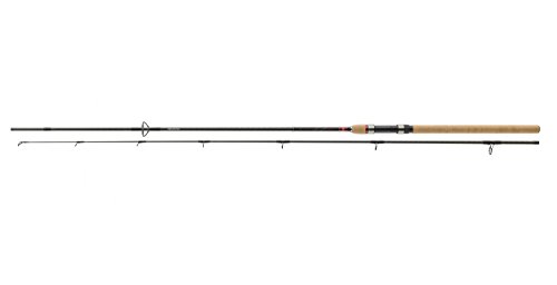 Daiwa Ninja X Spin 2,70m 40-80g Spinnrute