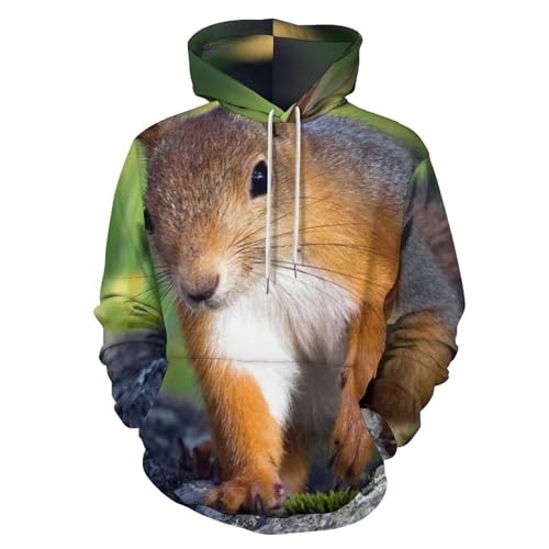 HABXNJF Kapuzen-Sweatshirt, niedliches Eichhörnchen-Hoodie, modischer Kapuzenpullover mit Tasche für Herren und Damen, Süßes Eichhörnchen, XXL