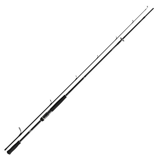 DAIWA Prorex AGS Spin 2.40m 14-42g Spinnrute