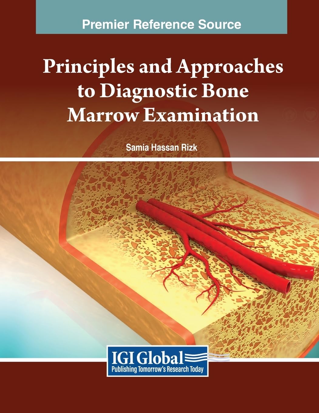 Principles and Approaches to Diagnostic Bone Marrow Examination (Advances in Medical Diagnosis, Treatment, and Care)