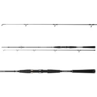 Daiwa Seahunter X 2.70m 40-120g