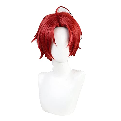 LINLINCD Anime Cosplay Perücke Anime. Ich wundere Eierpriorität Momoe sawaki Cosplay Kurze hitzebeständige synthetische Haare Halloween Karneval parteirolle Spielen+perücke Kappe