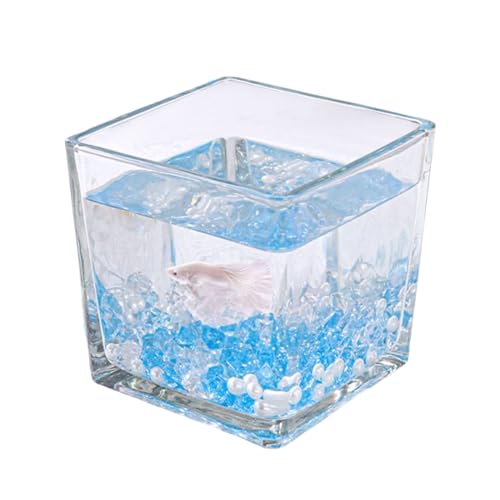 Kleines Aquarium,Starter Aquarium, Aquarium-Starter-Kits, quadratisches kleines Aquarium for Kampffische, Guppys, Garnelen, Goldfische(15x15cm)