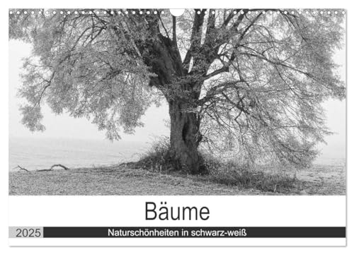Bäume - Naturschönheiten in schwarz-weiß (Wandkalender 2025 DIN A3 quer), CALVENDO Monatskalender: Ausdrucksstarke Bäume als schwarz-weiß Fotografie