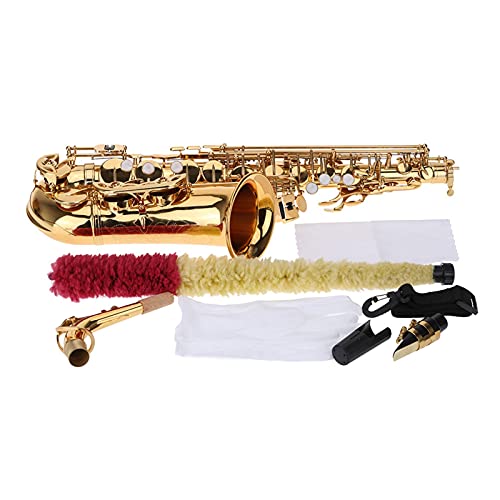 SEIN Altsaxophon Messing lackiert Gold E flach sax 802 Tastentyp Holzwind Instrument mit Reinigungsbürste Tuchhandschuhe Fall