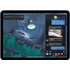 APPLE MM9C3FD/A - iPad Air (2022), Wi-Fi. 64GB, grau