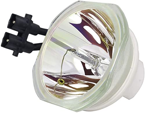 ET-LAD120 Projektorlampe für Panasonic PT-DW830 PT-DW830EK PT-DW830K/PT-DX100 PT-DX100EK PT-DX100K PT-DX100LK /PT-DZ870 PT-DZ870 PT-DZ8870 70EK PT-DZ870LW