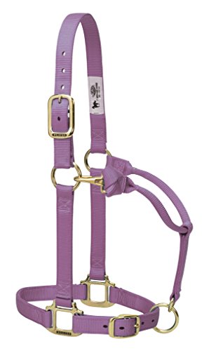 Weaver Leather Original verstellbares Nylon-Halfter, Original verstellbares Kinn- und Hals-Halfter aus Nylon, Lavendel, Jährling, 35-7033-LV, Lavendel, Yearling Horse