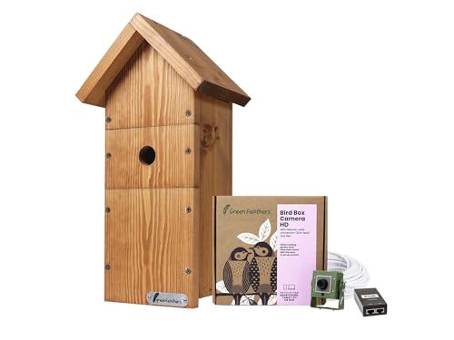 Green Feathers Wildlife Vogelhaus HD 1080p Videokamera mit komplettem Holzhaus