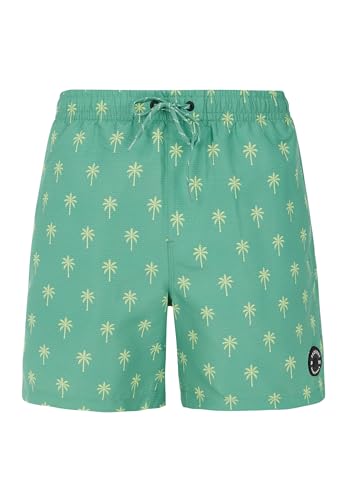 Protest Men Boardshorts PRTALVIS Frosty Green L