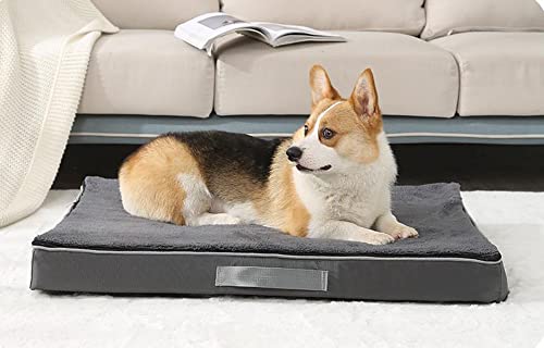 XXLarge Orthopädisches Hundebett Memory Foam Hundebett Hundesofa,hundebett waschbar,Sofadecke,Couchkissen,Anti-Rutsch,Hundematratze flauschig,Indoor Outdoor