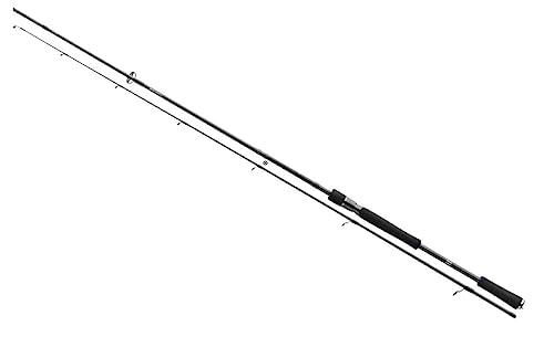 Daiwa Prorex XR Spin 2,70m 5-30g