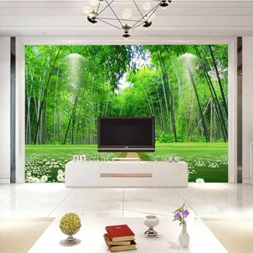 tyujlkjddlf Tapete Wandbild 3D Benutzerdefinierte Wohnzimmer 3D-Stereo-Tv-Hintergrundwand Frische Bambuswaldpfad Tapete Landschaft Tapetenwandbild-200Cmx140Cm