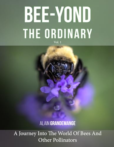 Bee-yond The Ordinary: A Journey Into The World Of Bees (and other pollinators)