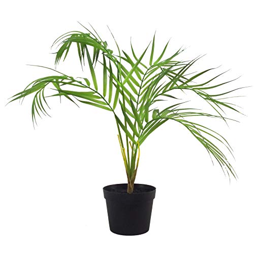 Leaf Künstliche Areca-Palme mit Blättern, Naturbelassener Areka, 50 cm