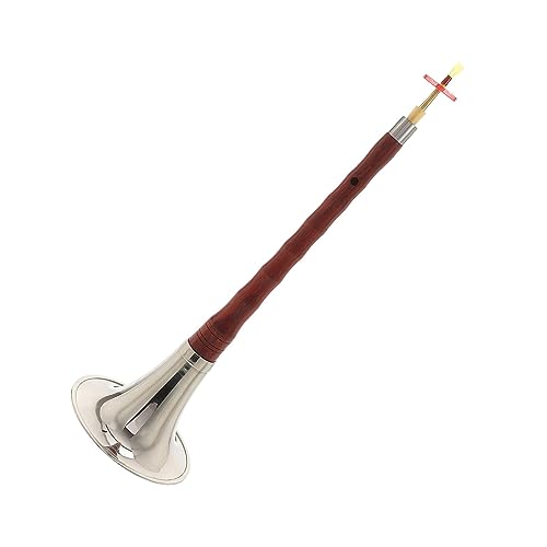 suona Anfänger Verwenden Suona-Palisanderschlüssel, Traditionelles Musikinstrument, Premium-Palisander, Praktisch (Color : 02)