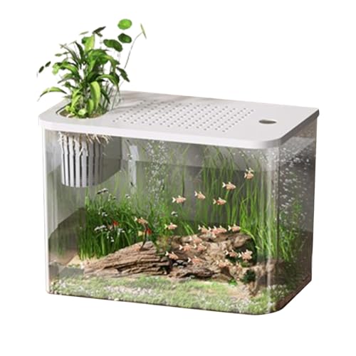 Mini-Betta-Aquarium, Tisch-Aquarium, Schildkrötenbecken Aquarium Goldfischbecken Fischschalen, Kleine Aquarien, dekorativer kompakter Tank für die Schildkrötenzucht, kleine Fische